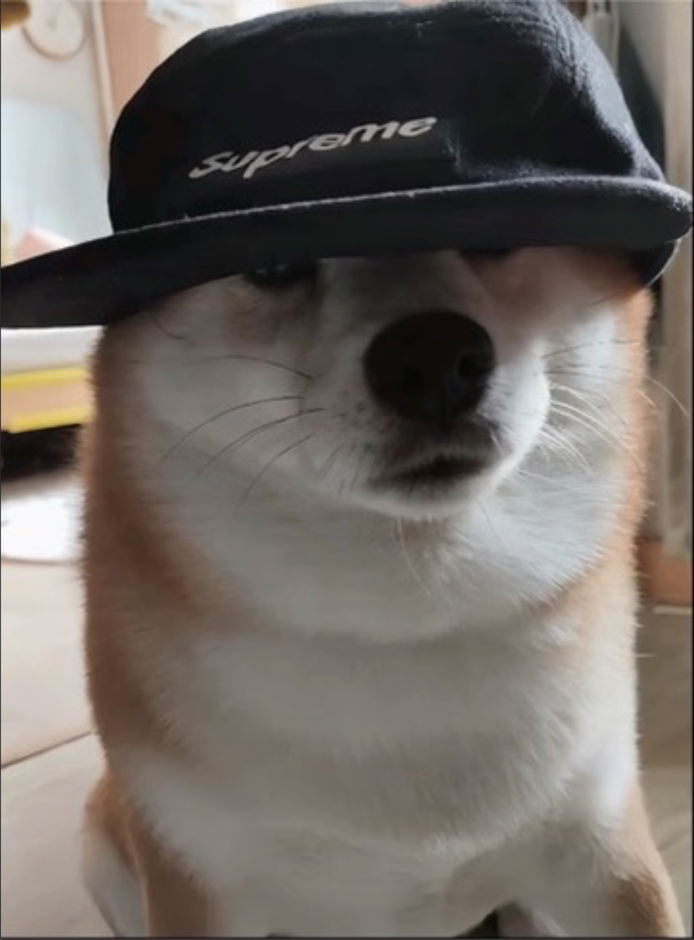 阿香真实照